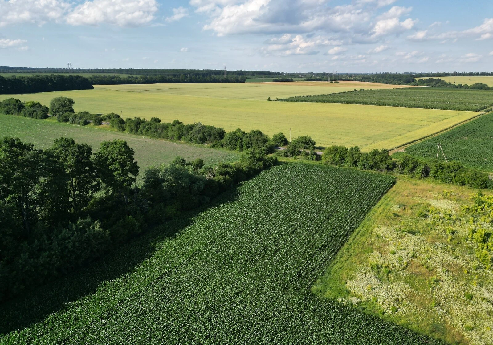 Ділянка 85 соток, Ільківка: чорнозем, під гараж, фото 4