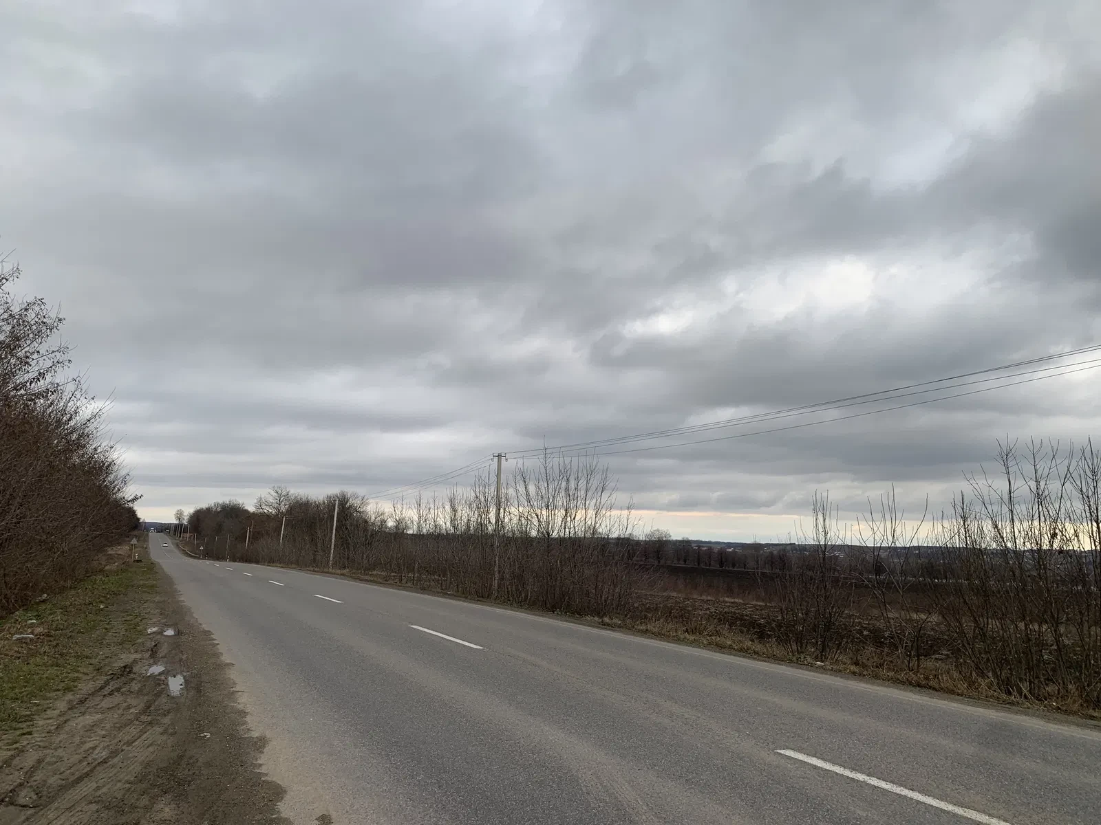 Ділянка 137 соток, Димка: перша лінія, Чернівці до 15 км - фото 1