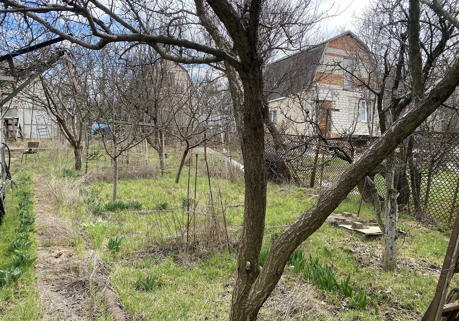 Ділянка 4 сотки, Каравелове: газ і електрика, город і сад - фото 2