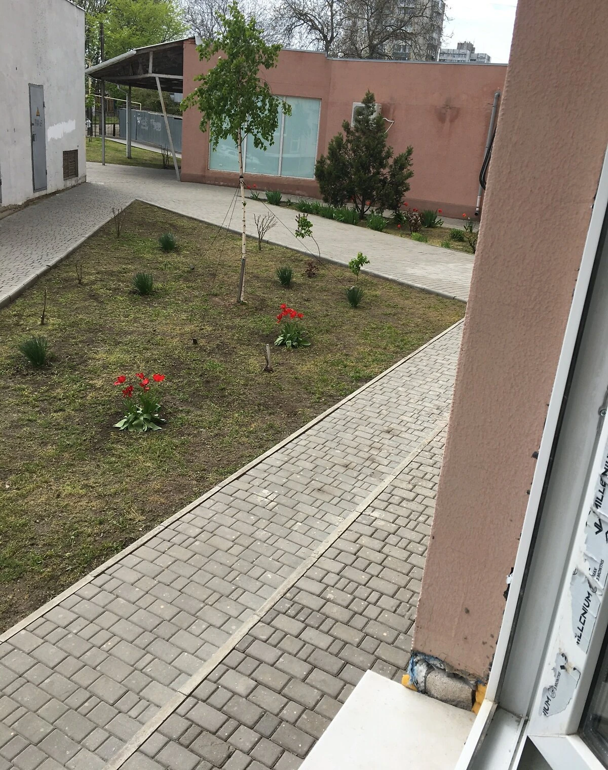 2-комнатная квартира, Южный: дизайнерский ремонт, кухня-студия, фото 3