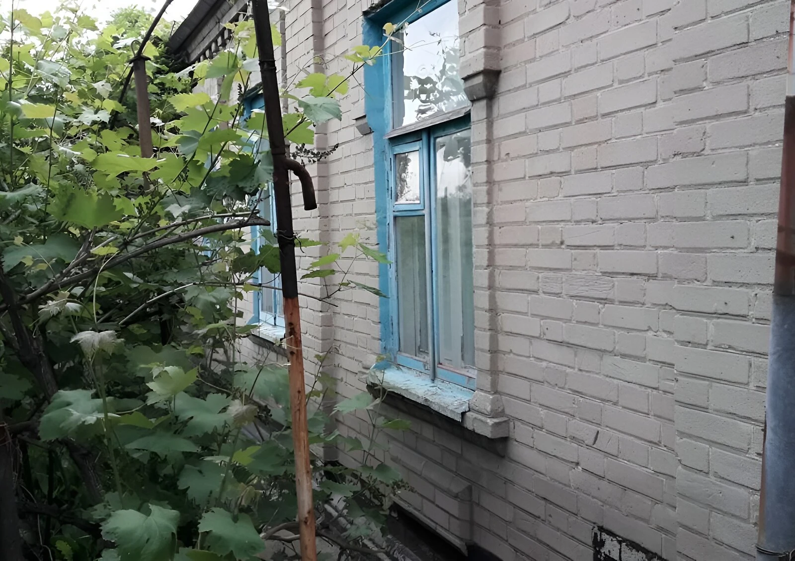 Часть дома, Запорожье: гараж во дворе, сад и забор, фото 5