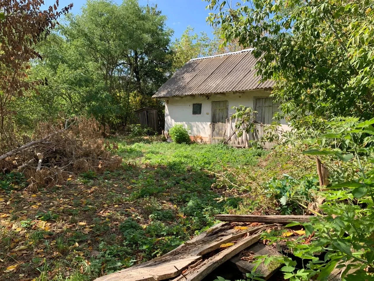 Будинок, Великі Лісівці: 40 соток, фруктовий сад, пічне опалення - фото 2