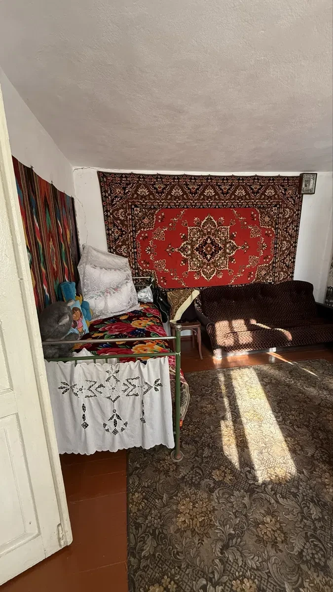 Будинок, Нова Прилука: погріб, літня кухня, вулики - фото 4