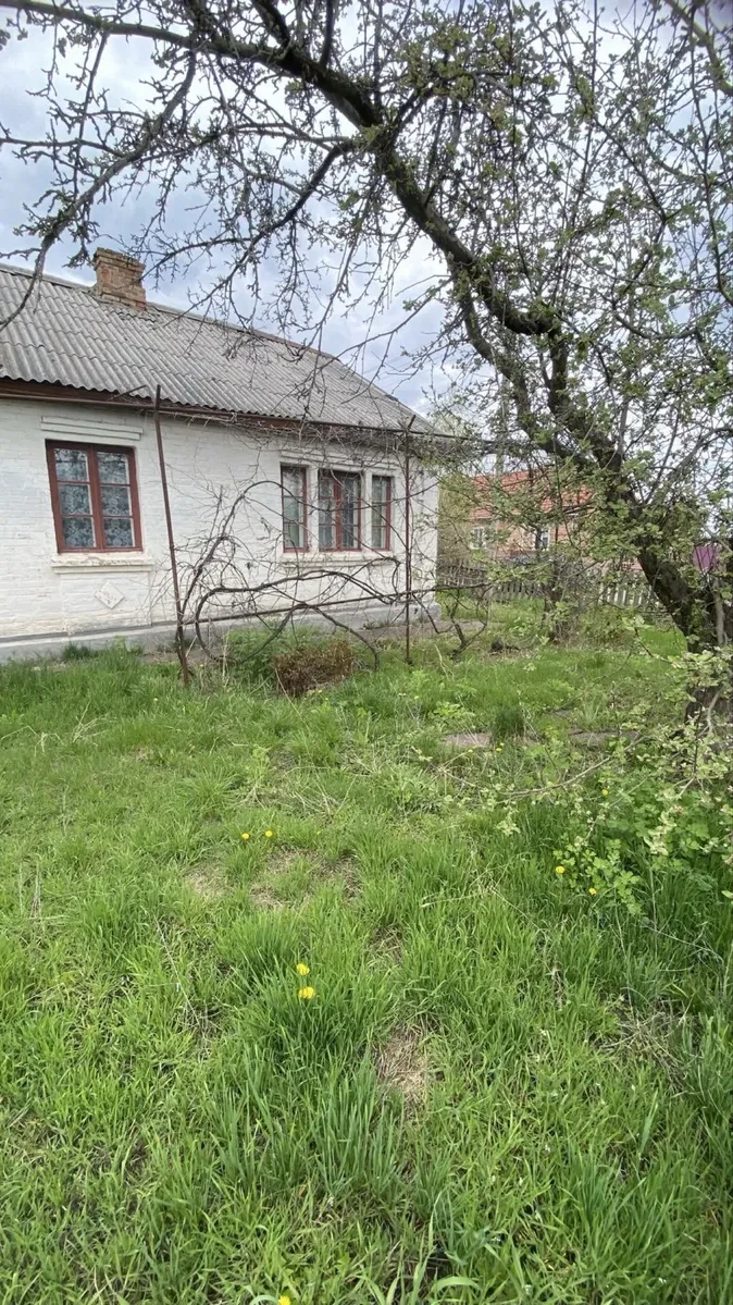 Будинок, Олександрійське: газове й пічне опалення, гараж, літня кухня - фото 2