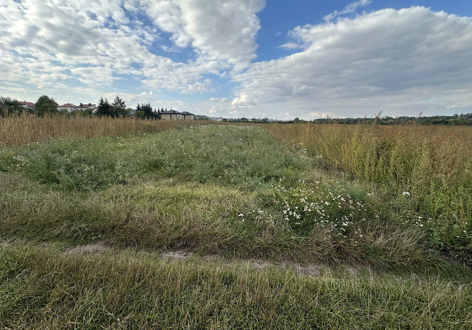 Ділянка 10 соток, Петриків: під житлову забудову, електрика, фото 3