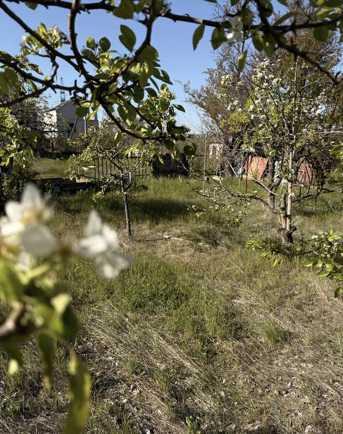 Дача, Пересадовка: печное отопление, скважина, фото 3