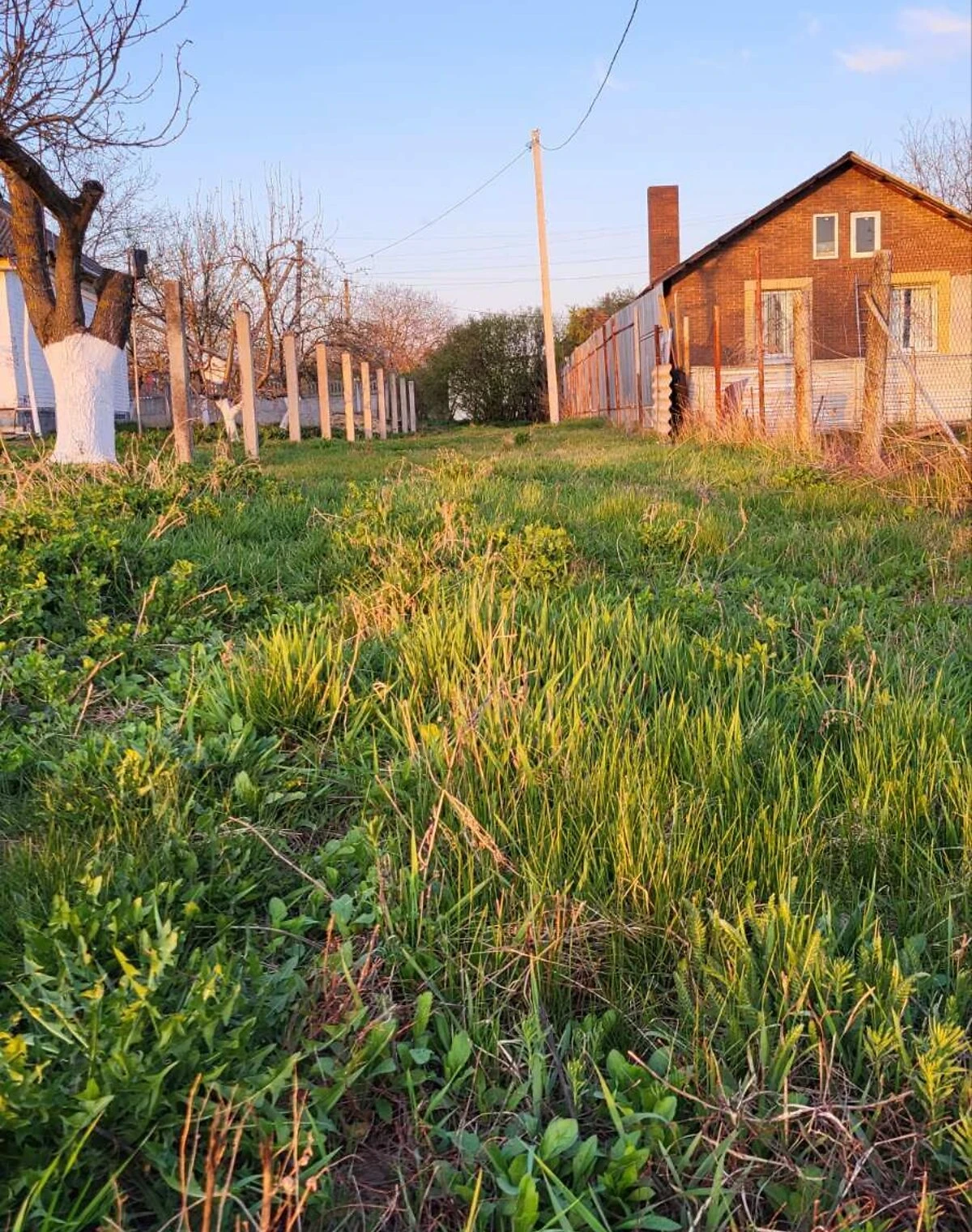 Ділянка 10 соток, Рибці: під житлову забудову, чорнозем, під гараж - фото 3