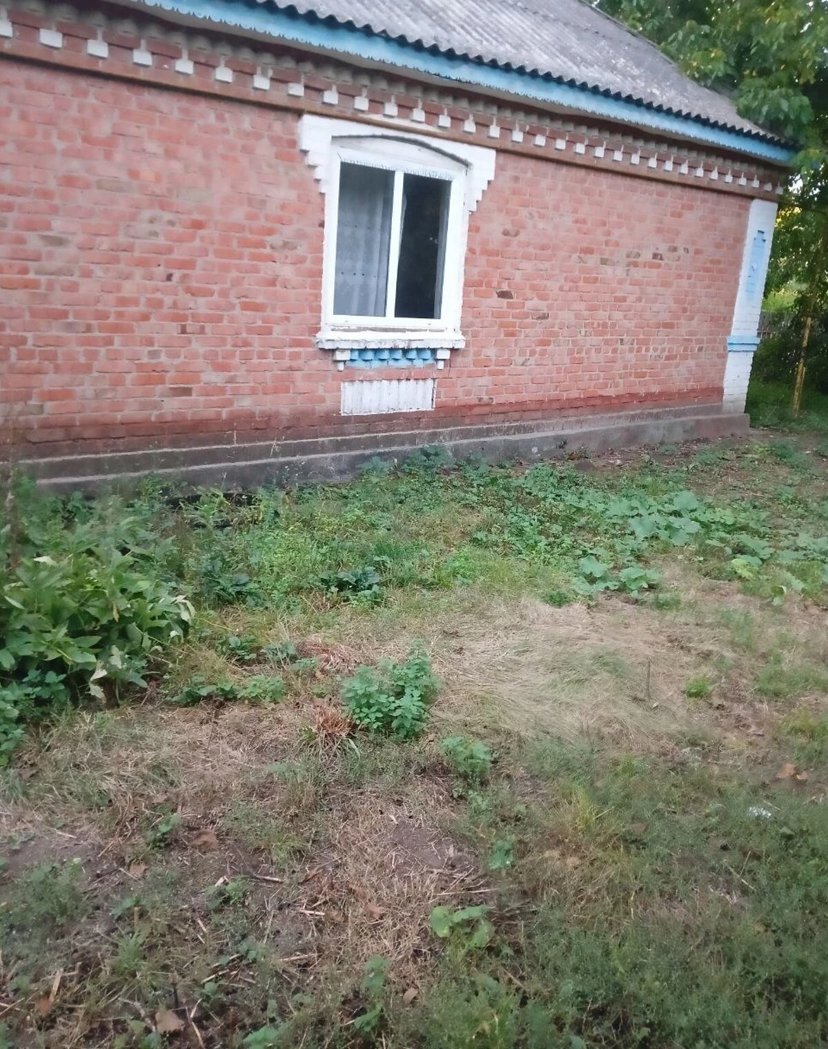 Будинок, Носівці: саманна цегла, криниця, літня кухня - фото 3