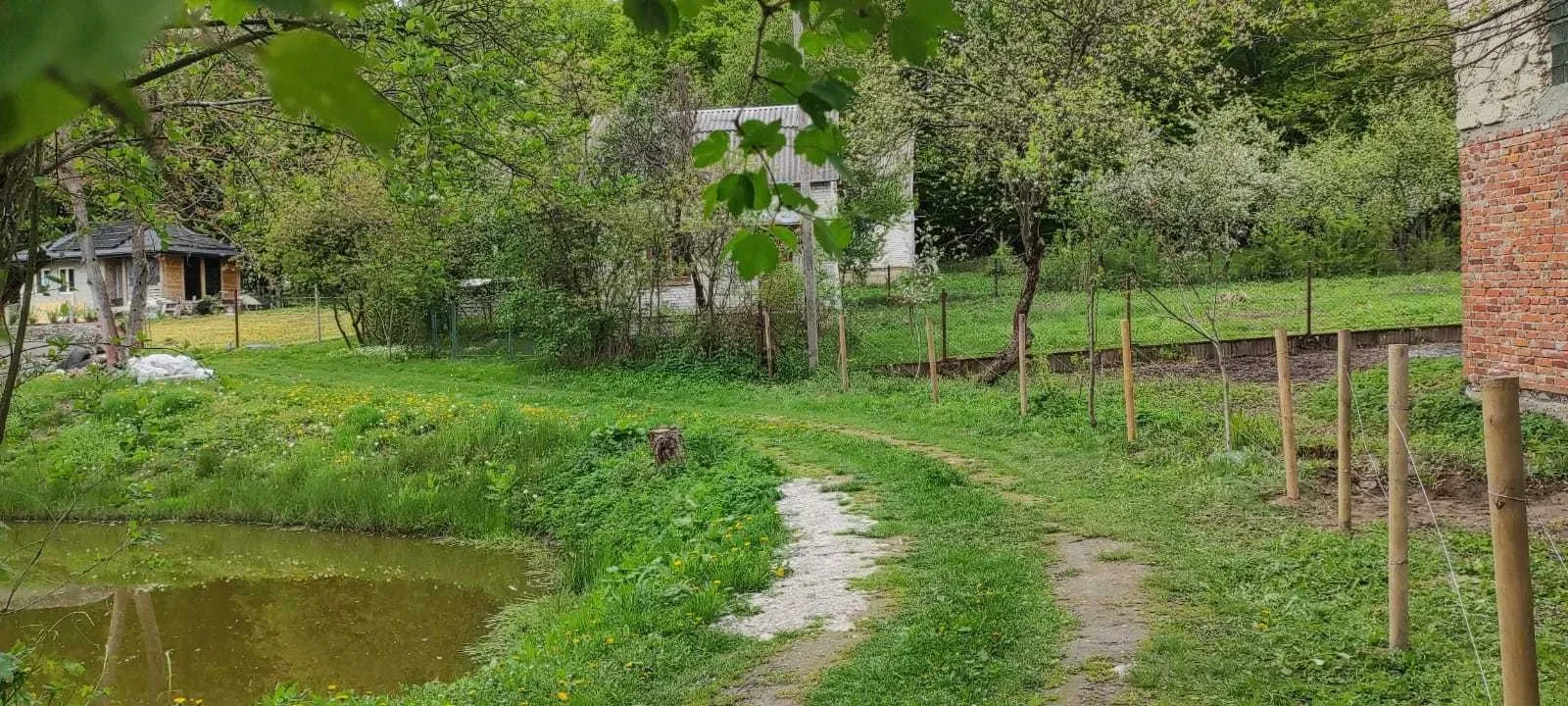 Ділянка 6 соток, Малі Грибовичі: цегляне будівництво, фото 2