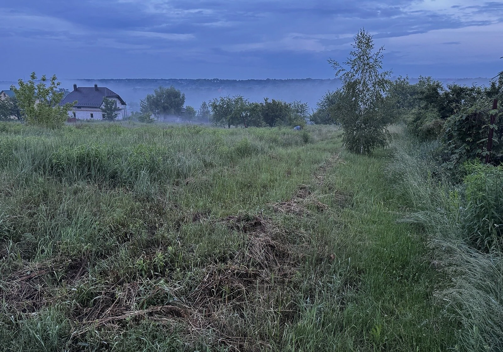 Ділянка 33 сотки, Рославичі: під житлову забудову, електрика - фото 2