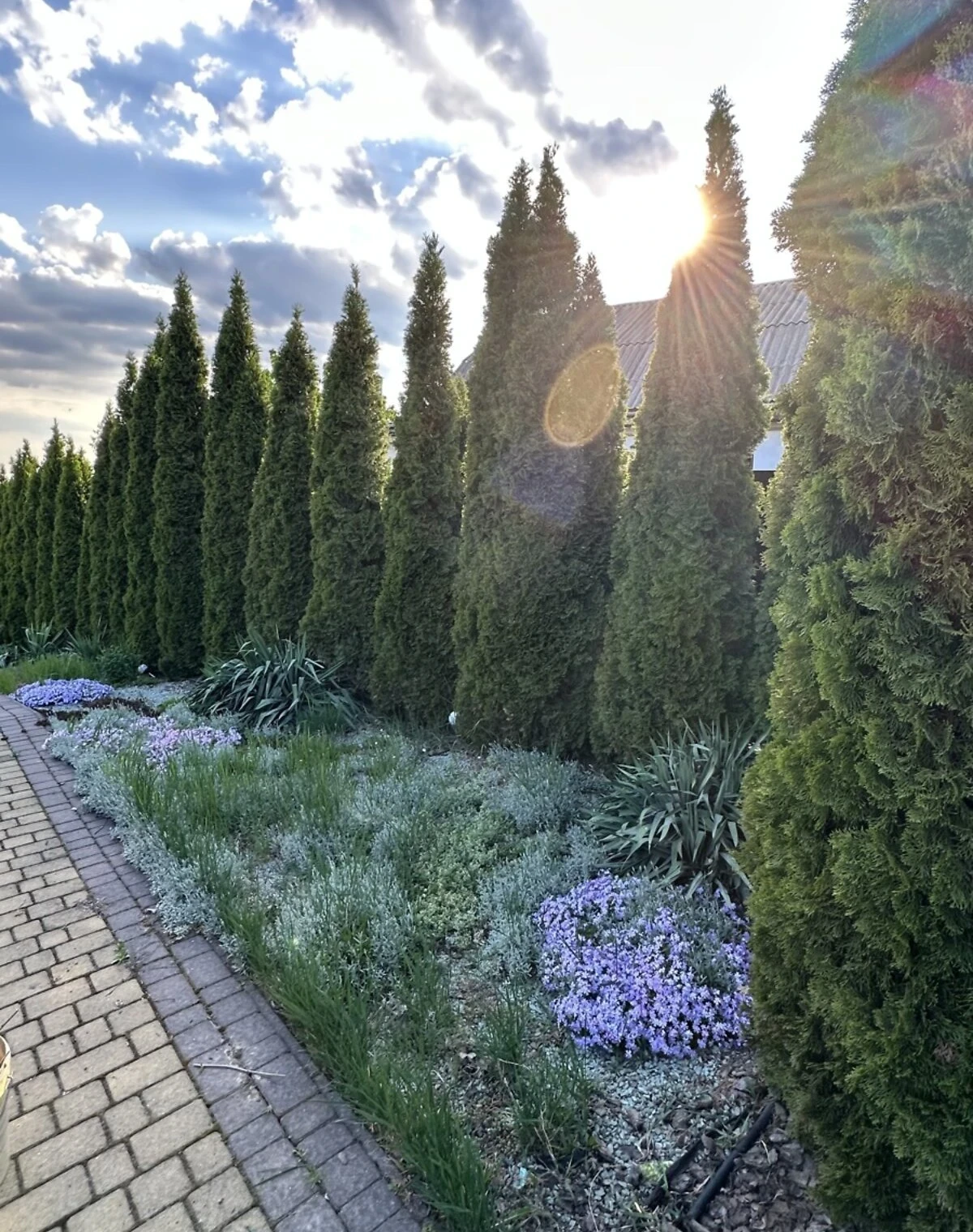 Будинок, Лезневе: басейн, сауна, панорамні вікна - фото 4