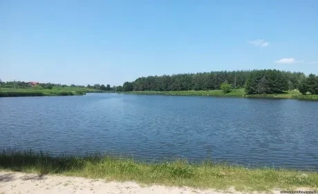 Ділянка 11.50 соток, Ясногородка: біля лісу, озеро за 1 км, фото 3
