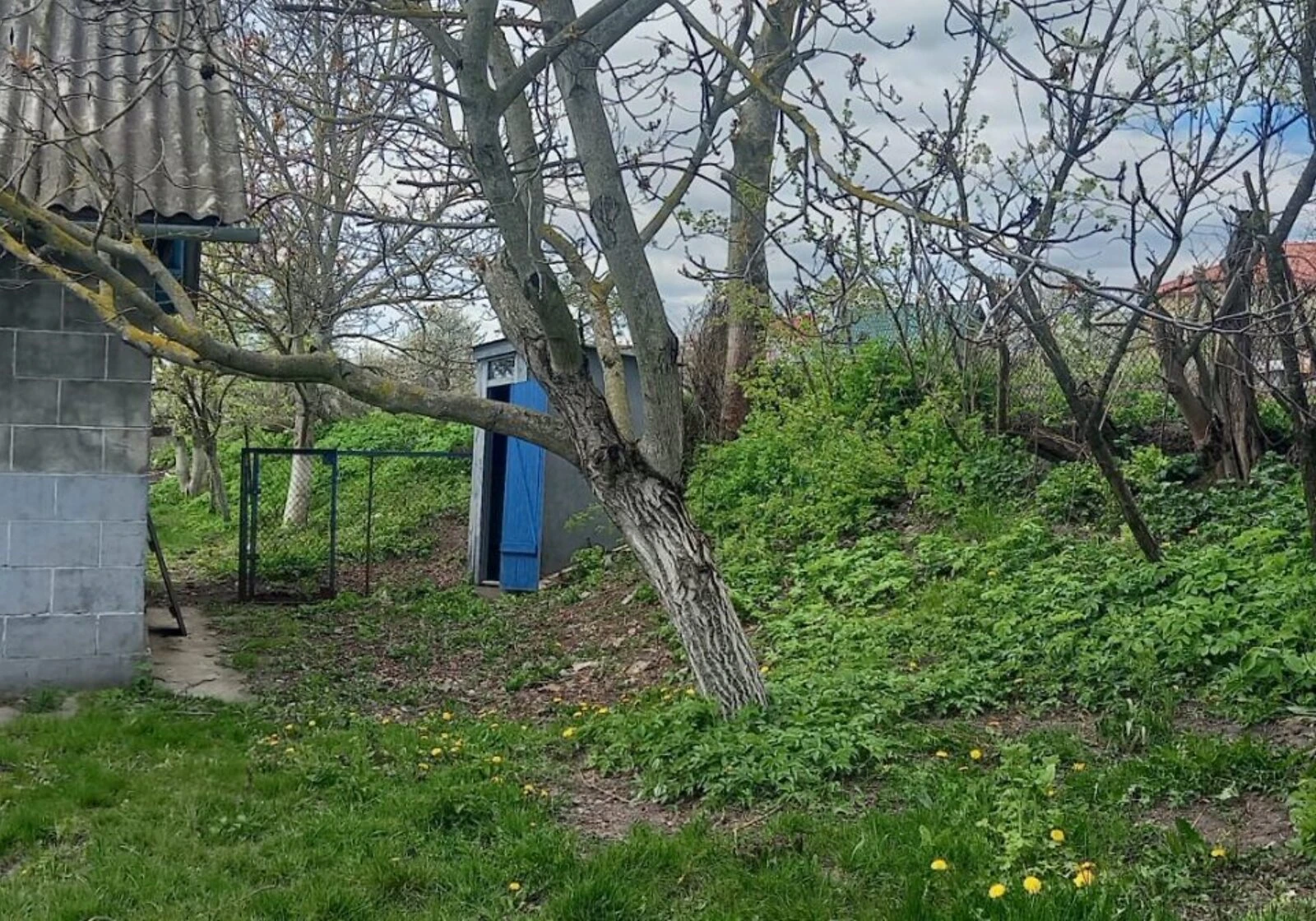 Дача, Денисов: колодец, сад, участок 2500 м², фото 5