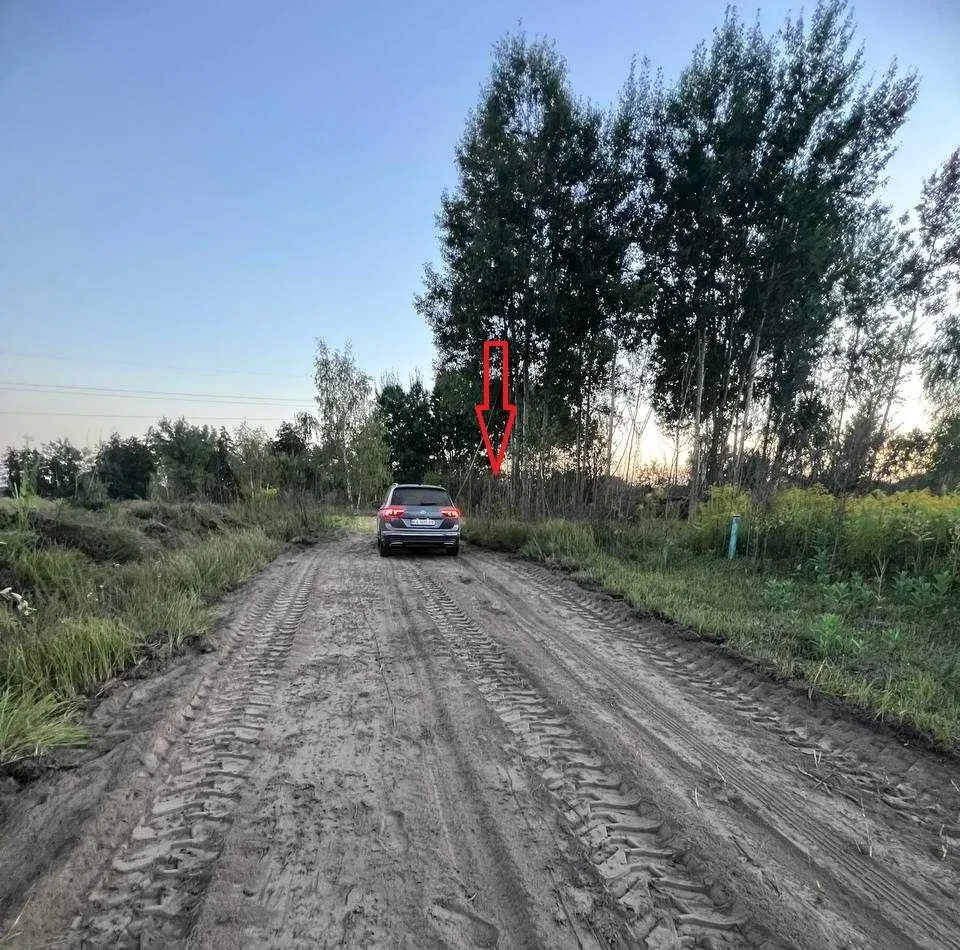 Ділянка 11 соток, Петрушки: під забудову, ліс і озеро, фото 2