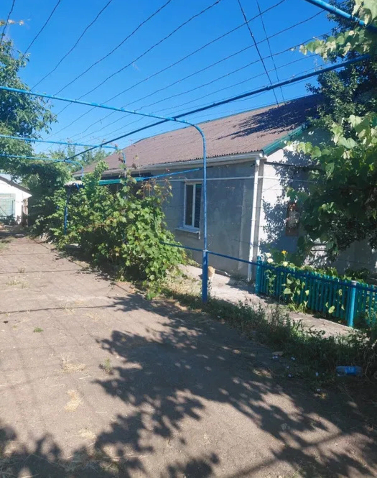 Дом, Устиновка: беседка, 30 соток, гараж с подвалом - фото 2
