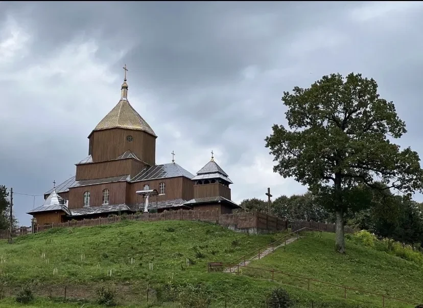 Будинок, Вільховець: 17 соток, 25 км до Львова, фото 2