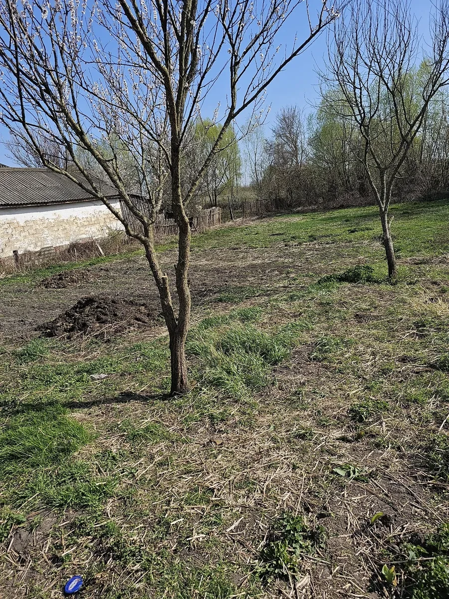 Будинок, Сосниця: луг і озеро за будинком, річка за 5 хвилин, фото 3