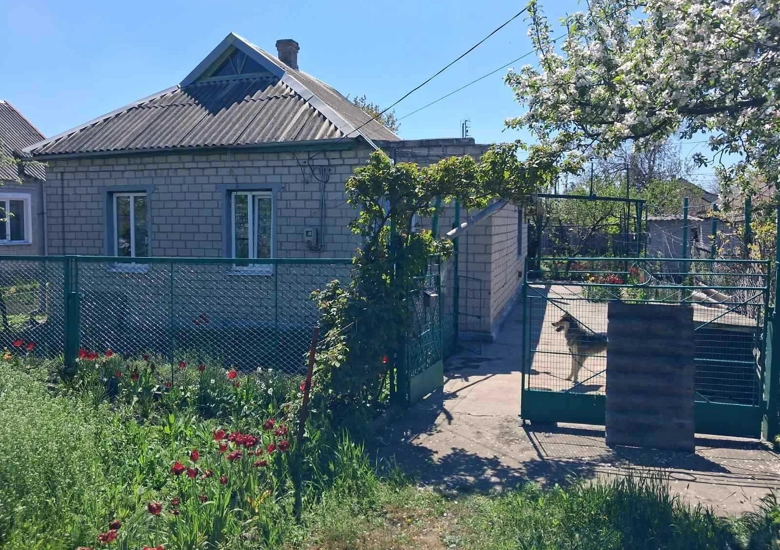Дом, Пятихатки: гараж, баня, летняя кухня - фото 1