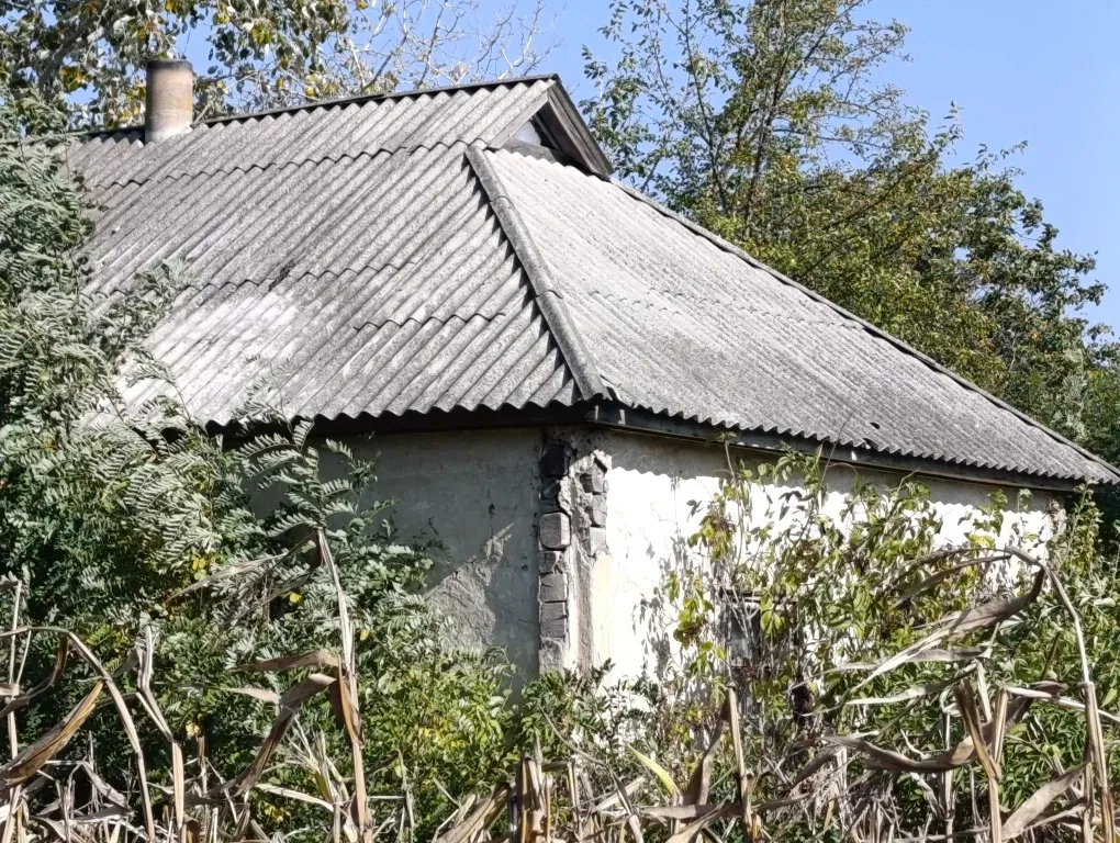Будинок, Виповзки: 44 сотки, під реконструкцію, фото 4