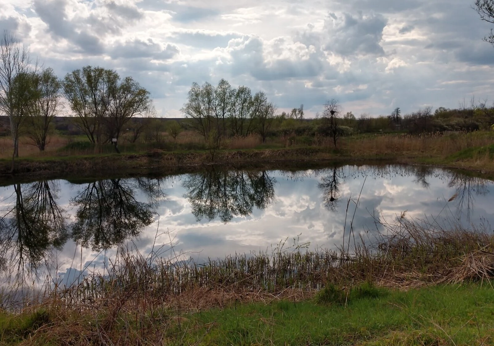 Ділянка 166 соток, Лелеківка: штучне озеро, сад і фундамент, фото 5