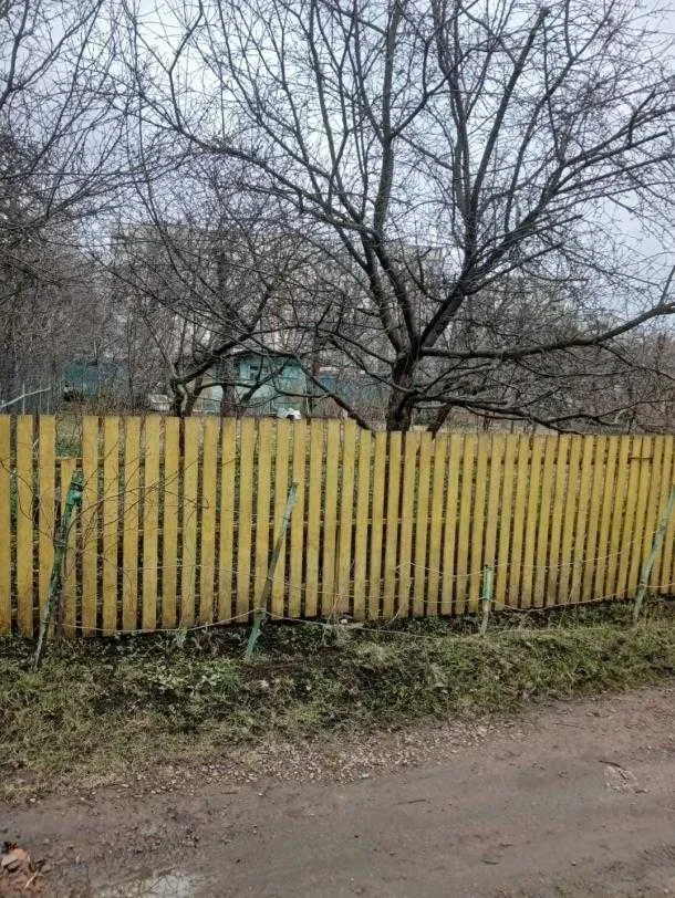 Ділянка 6 соток, Салтівський: плодові дерева, електрика - фото 4
