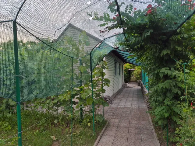 Дача, Амур-Нижньодніпровський: у лісі, басейн, 12 соток - фото 2