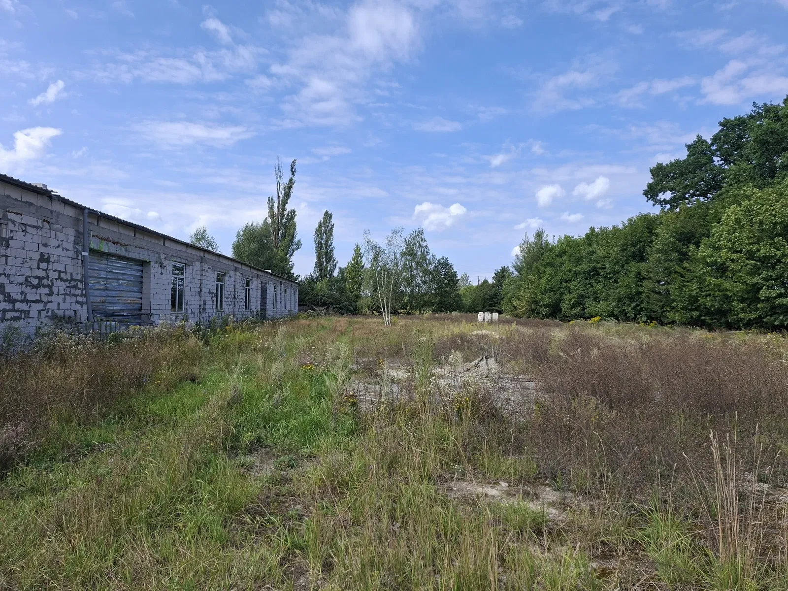 Цех, Березівка: 1,6 га в оренді, два заїзди, підстанція 160 - фото 3