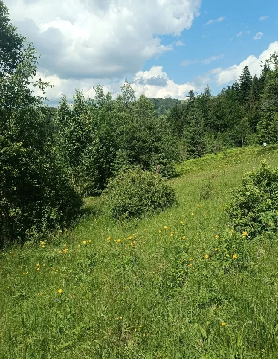 Ділянка 89 соток, Снідавка: під забудову, електрика, гори - фото 4