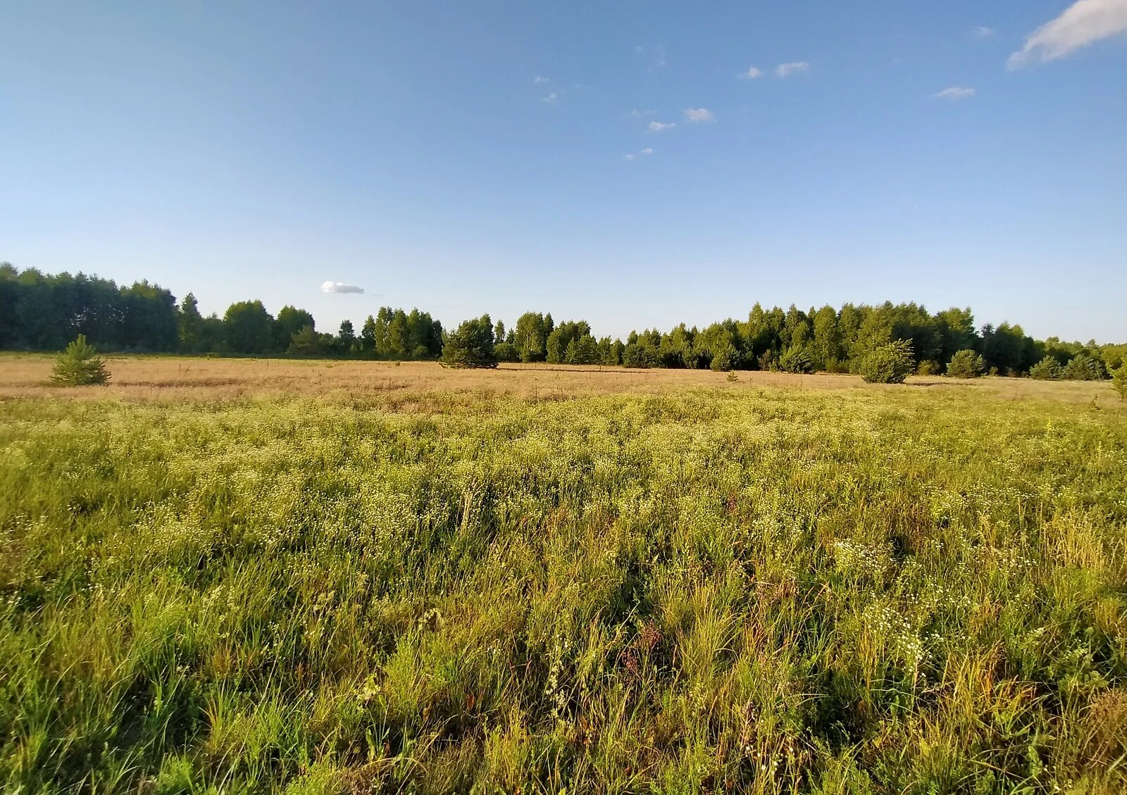 Ділянка 8 соток, Пульмо: під житлову забудову, торг, фото 5