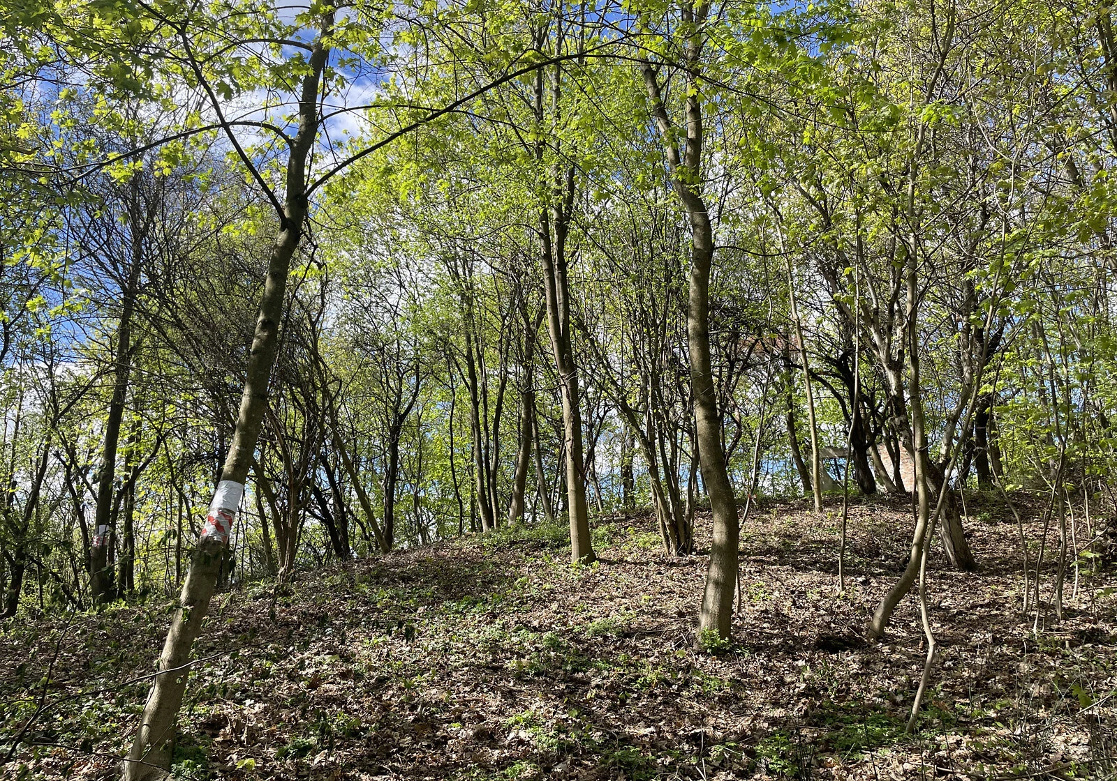Ділянка 6 соток, Голоско: житлова забудова, під гараж - фото 2