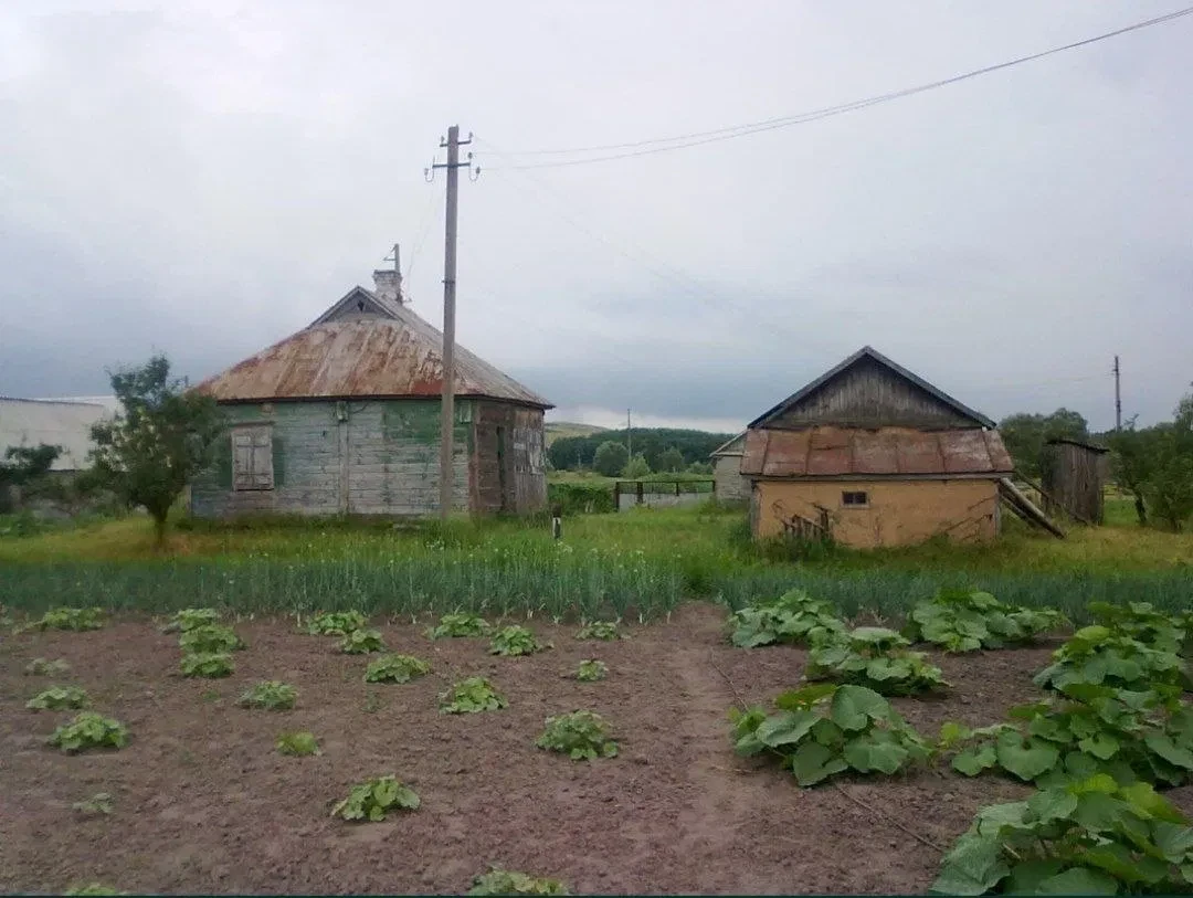 Участок 24 соток, Черкасский Бишкин: старый дом, электричество - фото 3