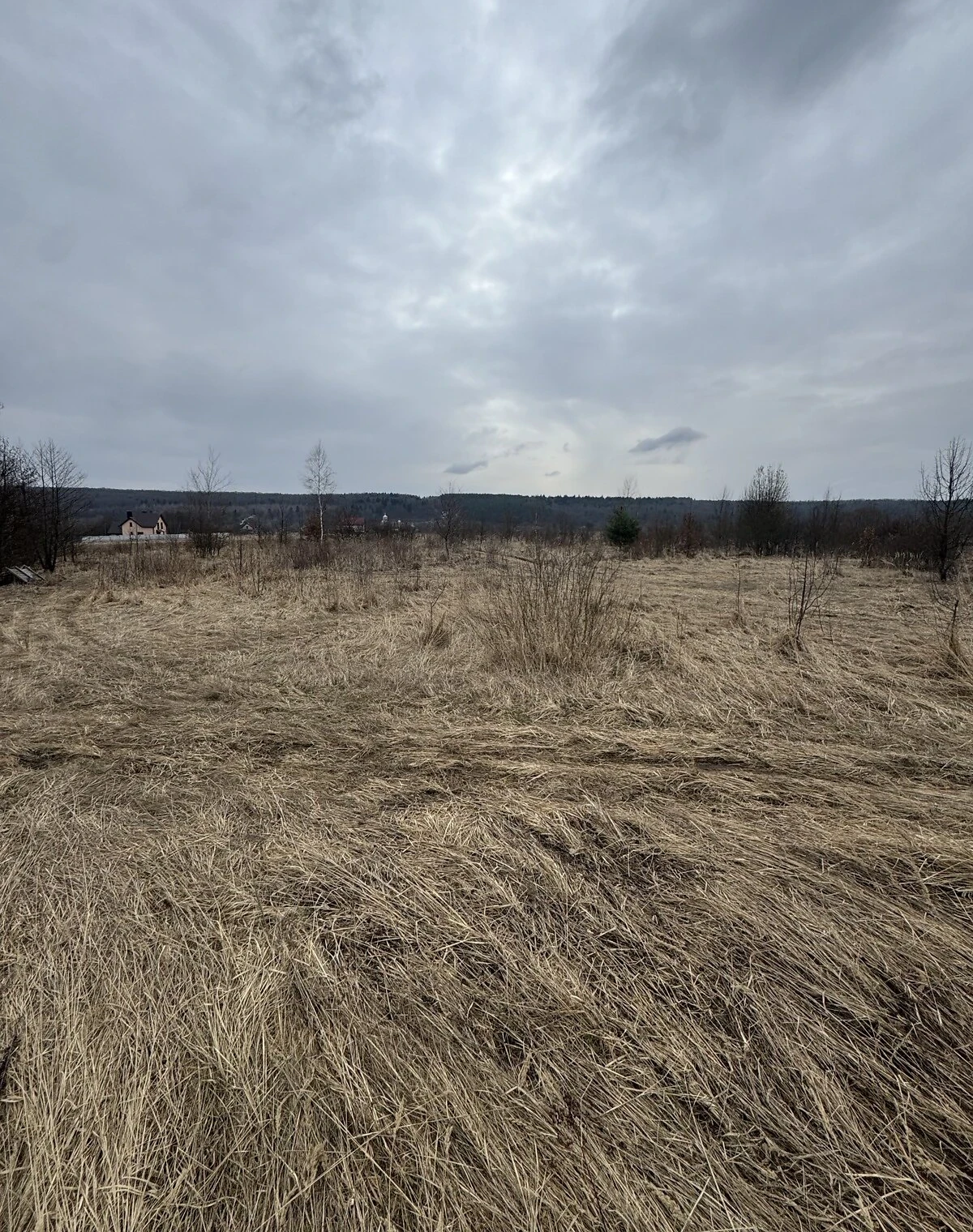 Ділянка 14 соток, Рибне (Тисмениця): під житлову забудову, гараж - фото 1