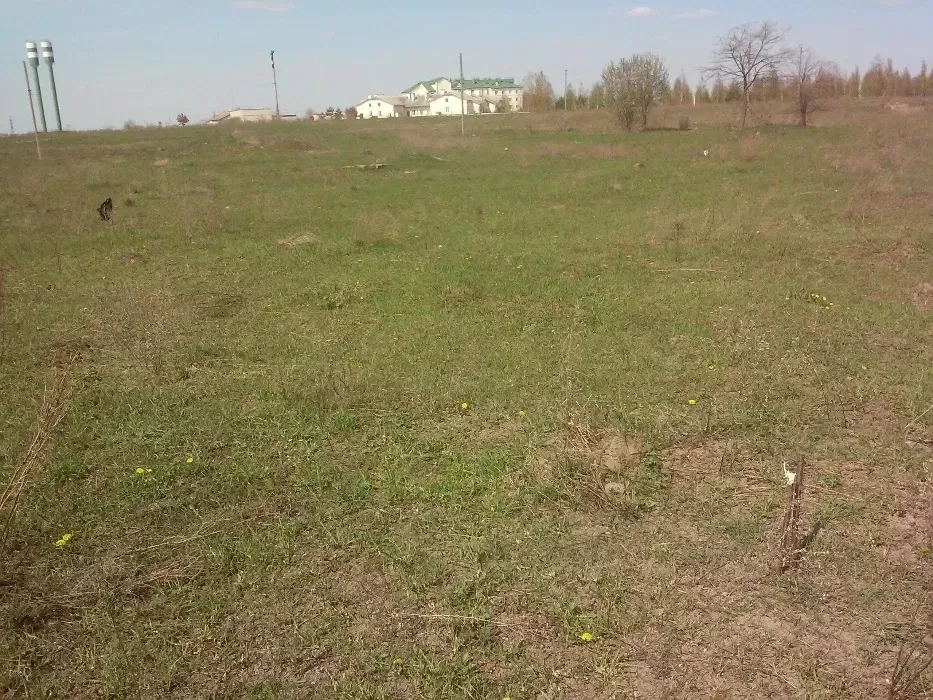 Ділянка 10 соток, Брусилів: під забудову, приватизована, фото 3