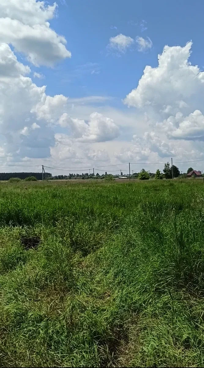 Ділянка 12 соток, Дружня: електрика, ліс і річка - фото 3