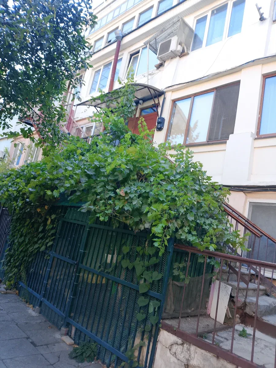 3-комнатная квартира, Приморский: отдельный вход, АГВ без света, фото 5