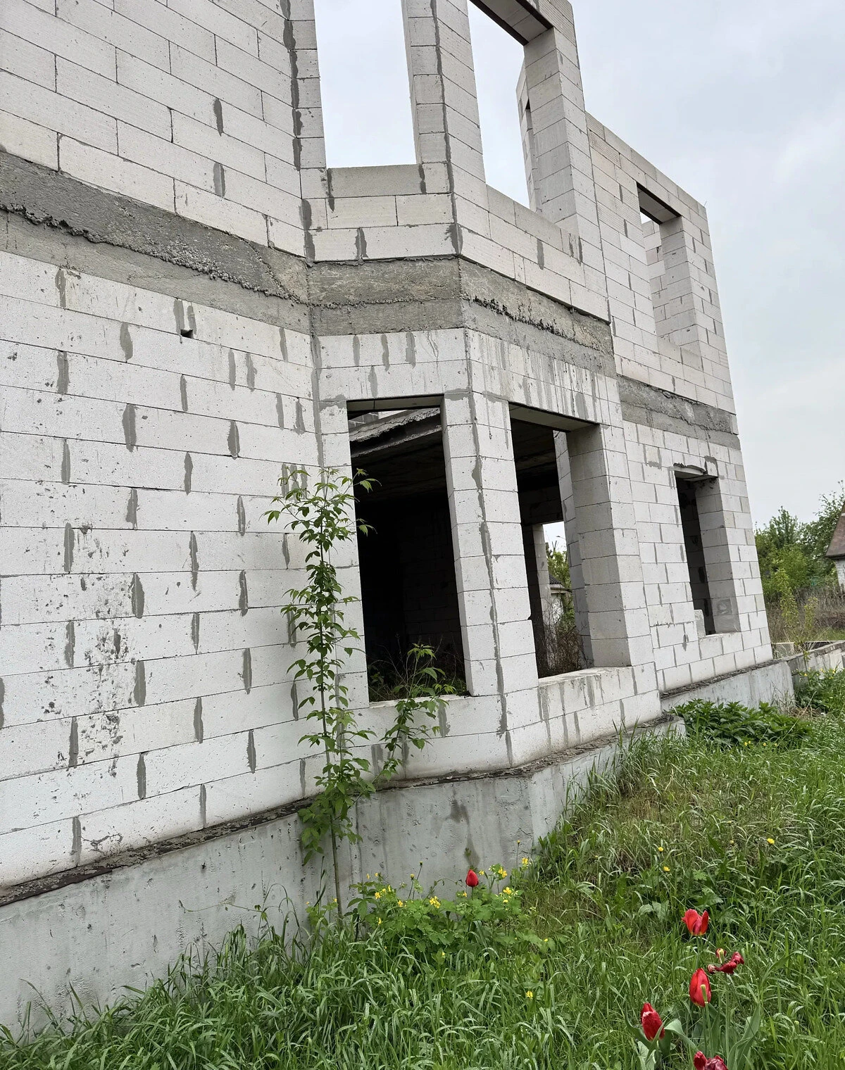 Будинок, Золотоноша: басейн, тераса, газобетонні стіни - фото 3
