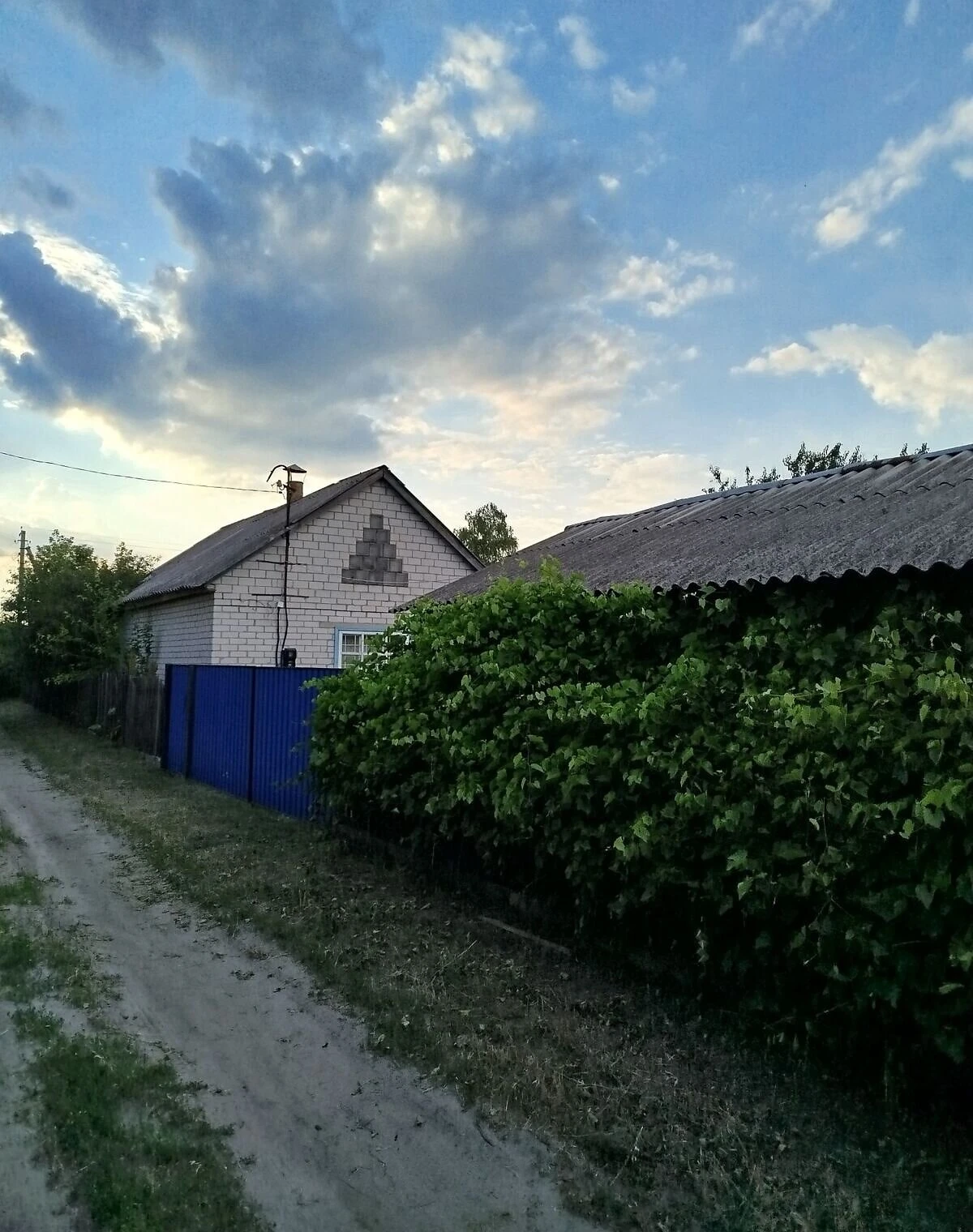 Будинок, Клюсівка: літня кухня, сад, фото 3
