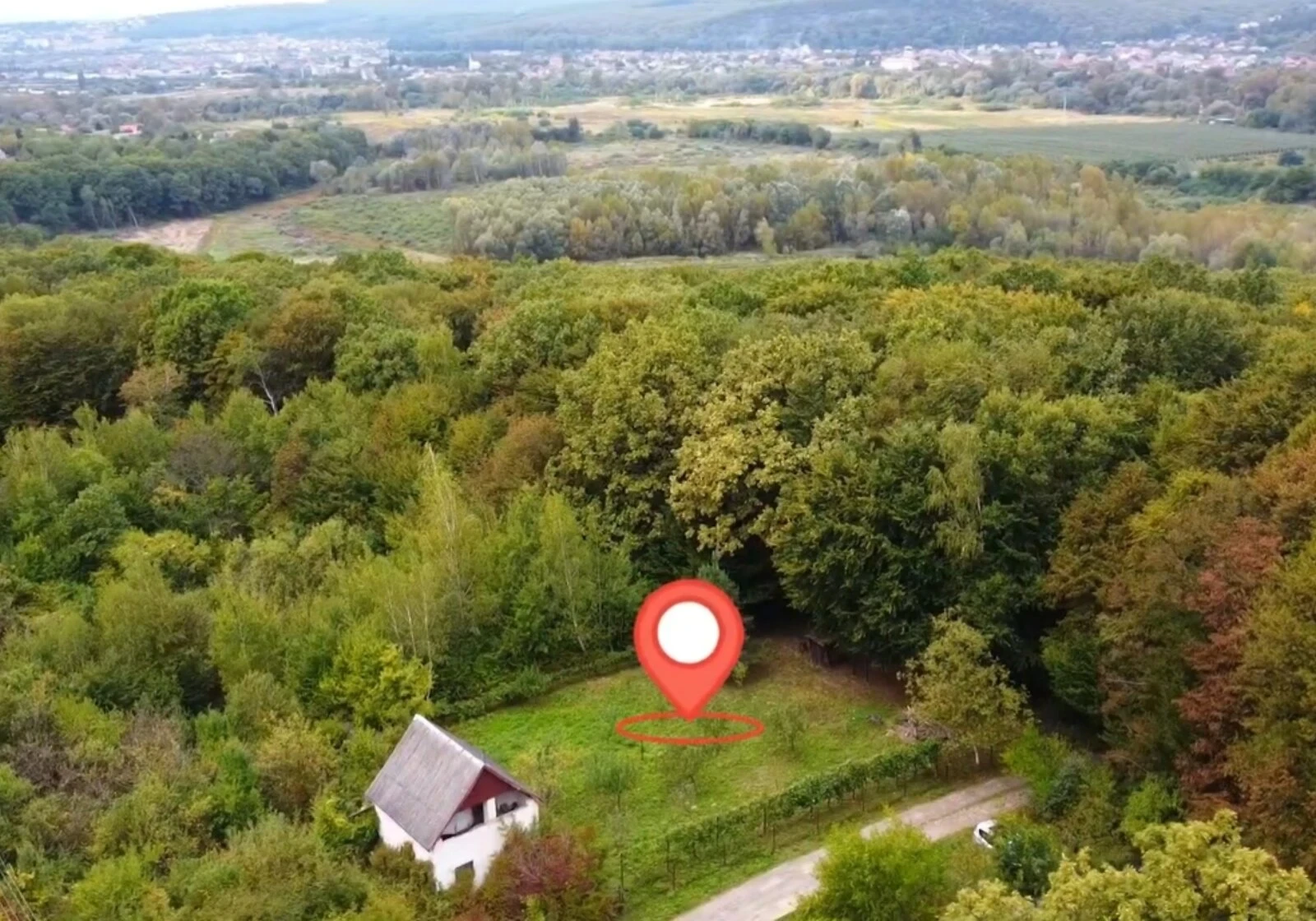 Ділянка 8.6 сотки, Оріховиця: сад, виноградник