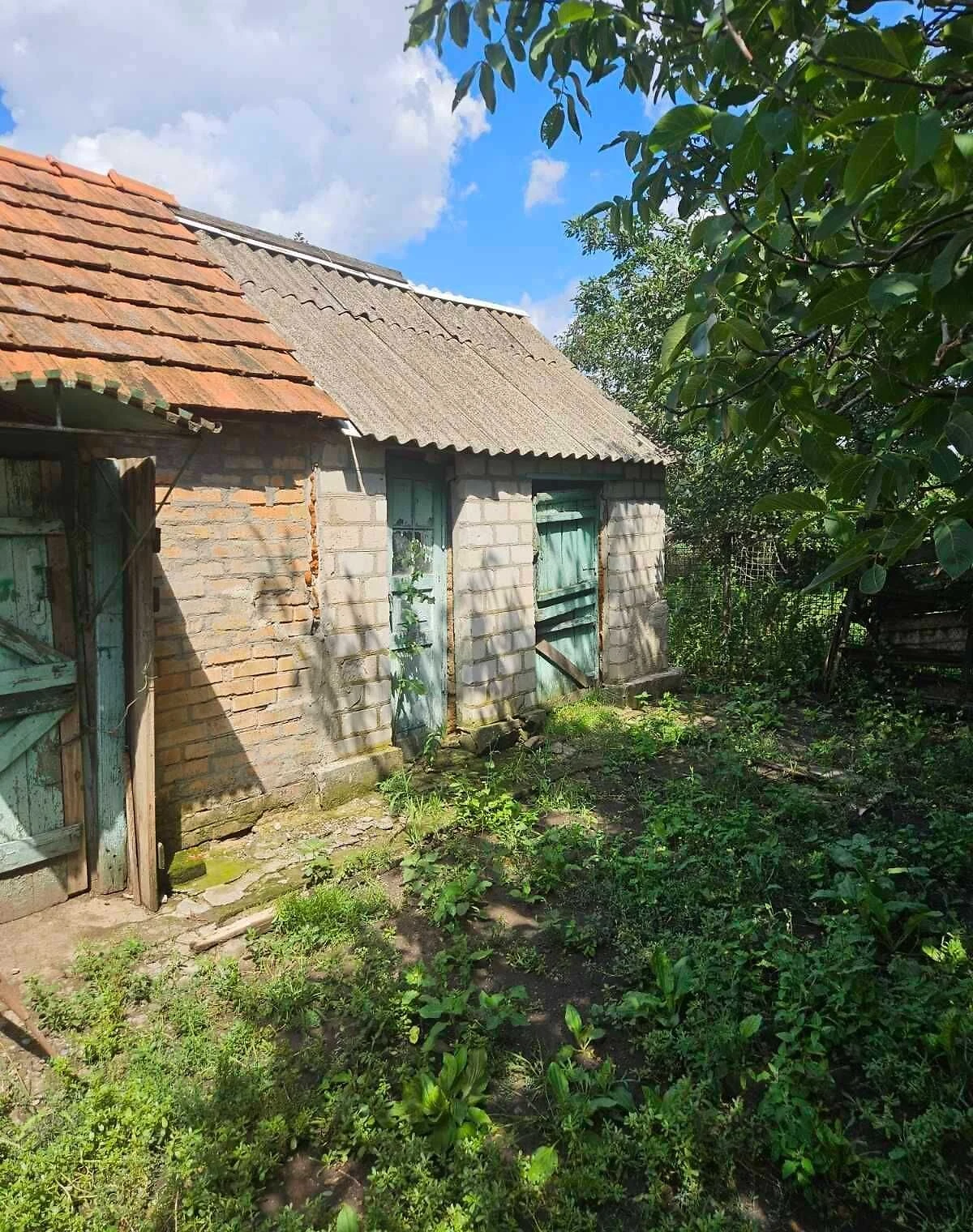Дача, Миронівка: гараж із підвалом, літня кухня, фото 5
