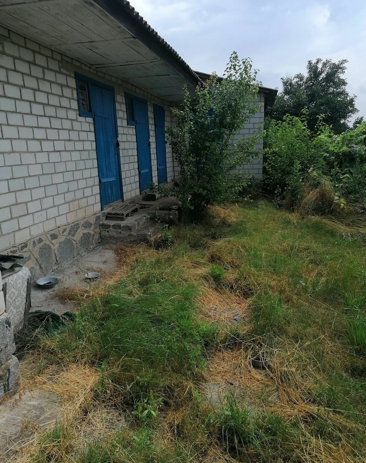 Ділянка 16 соток, Велика Багачка: водопровід, сад і виноградник - фото 3