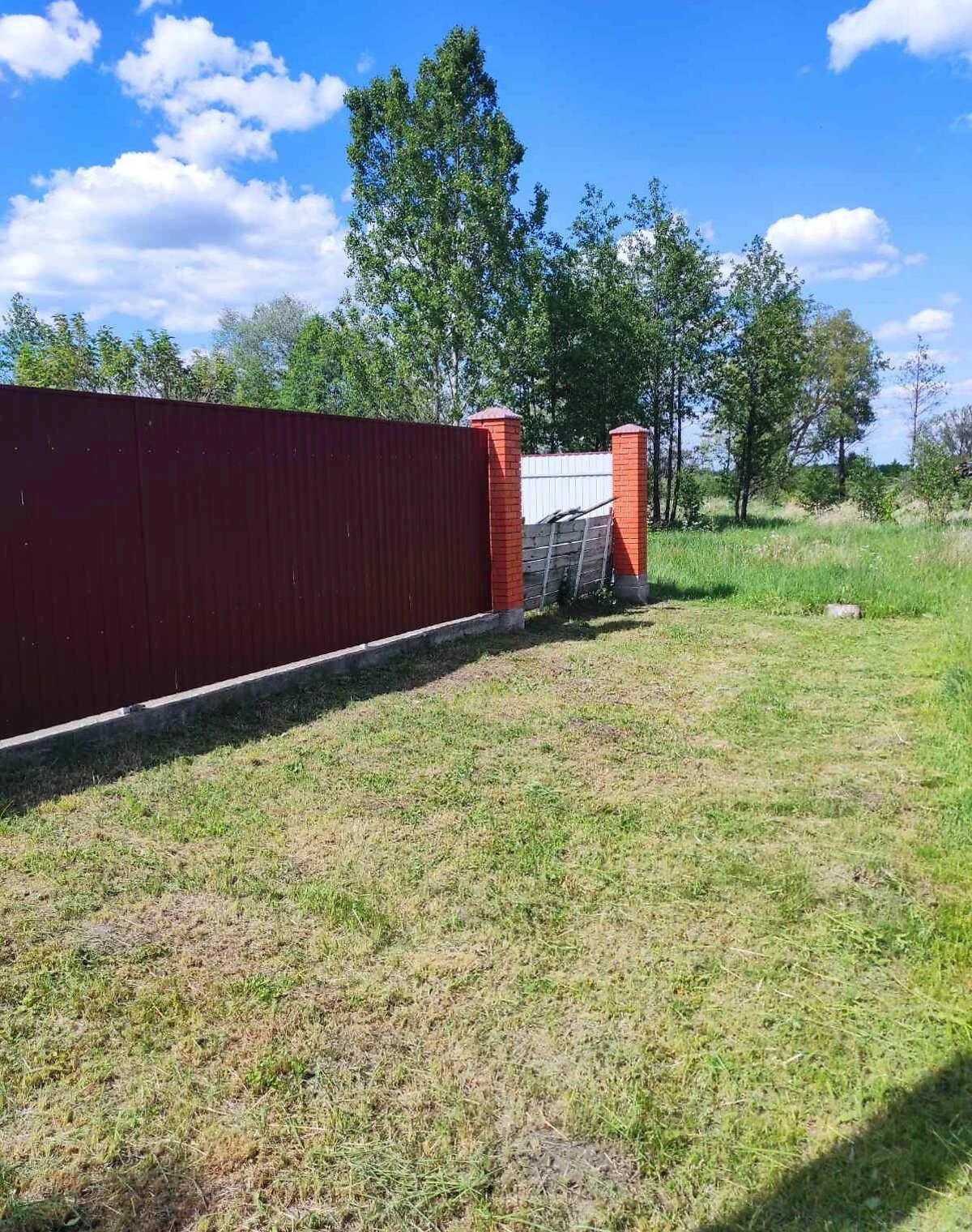 Будинок, Королівка: 60 соток, стіни з дерева та цегли - фото 4