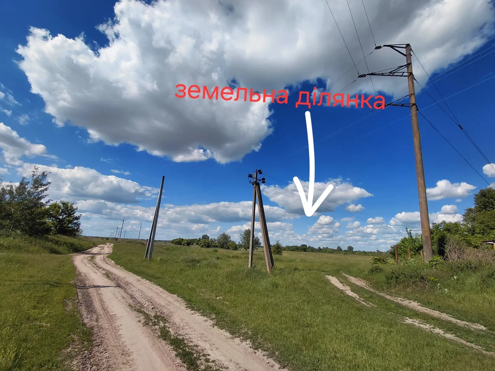 Ділянка 42 соток, Гоголів: асфальтований під'їзд, електрика й газ, фото 5