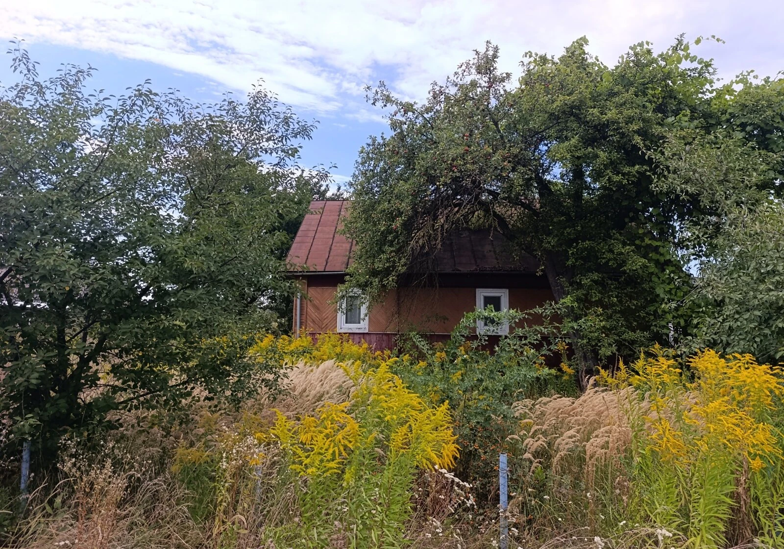 Будинок, Шкарів: гараж із підвалом, 25 соток, літня кухня - фото 4