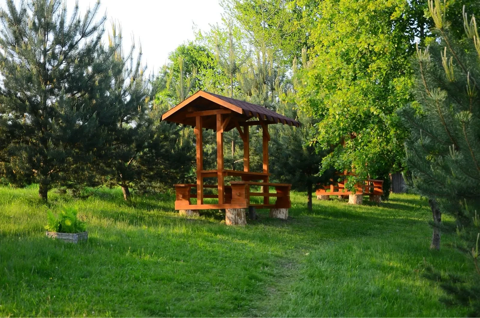 Ділянка 500 соток, Трускавець: зариблені озера, альтанки - фото 2