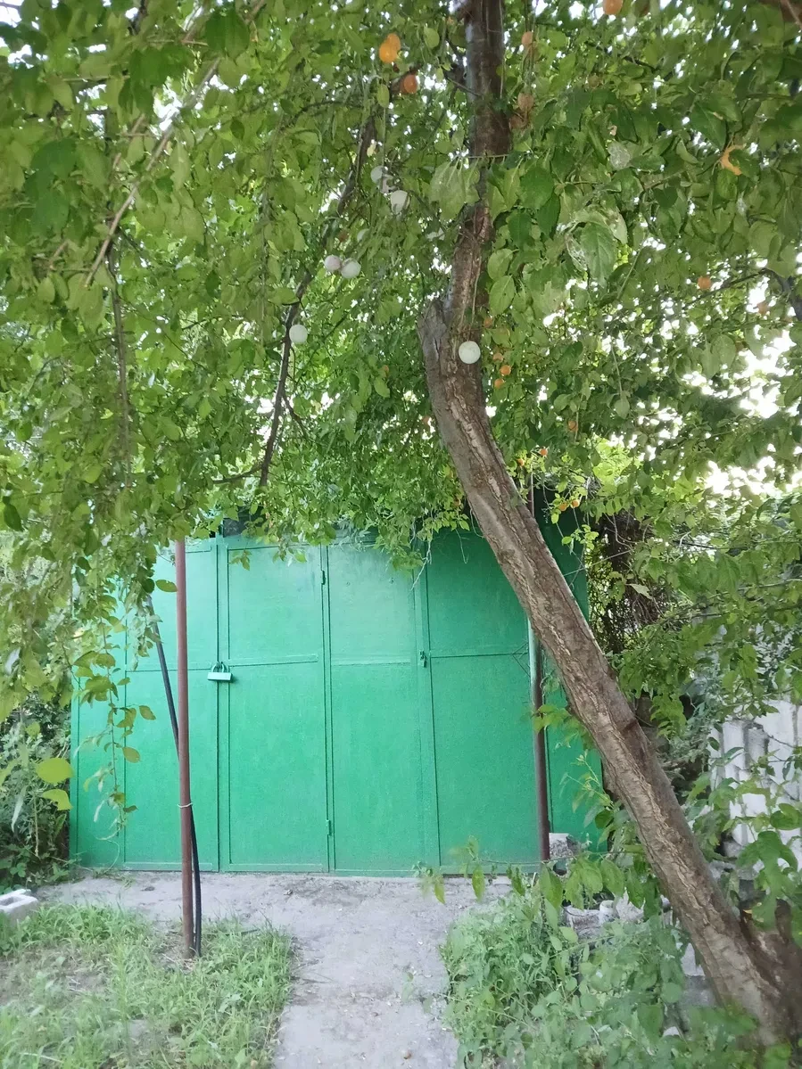 Дача, Николаевка: газ в доме, камин, торг, фото 4