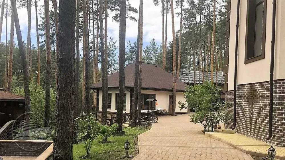 Особняк, Малютянка: 28 соток соснового лісу, паркінг на 4 авто - фото 2