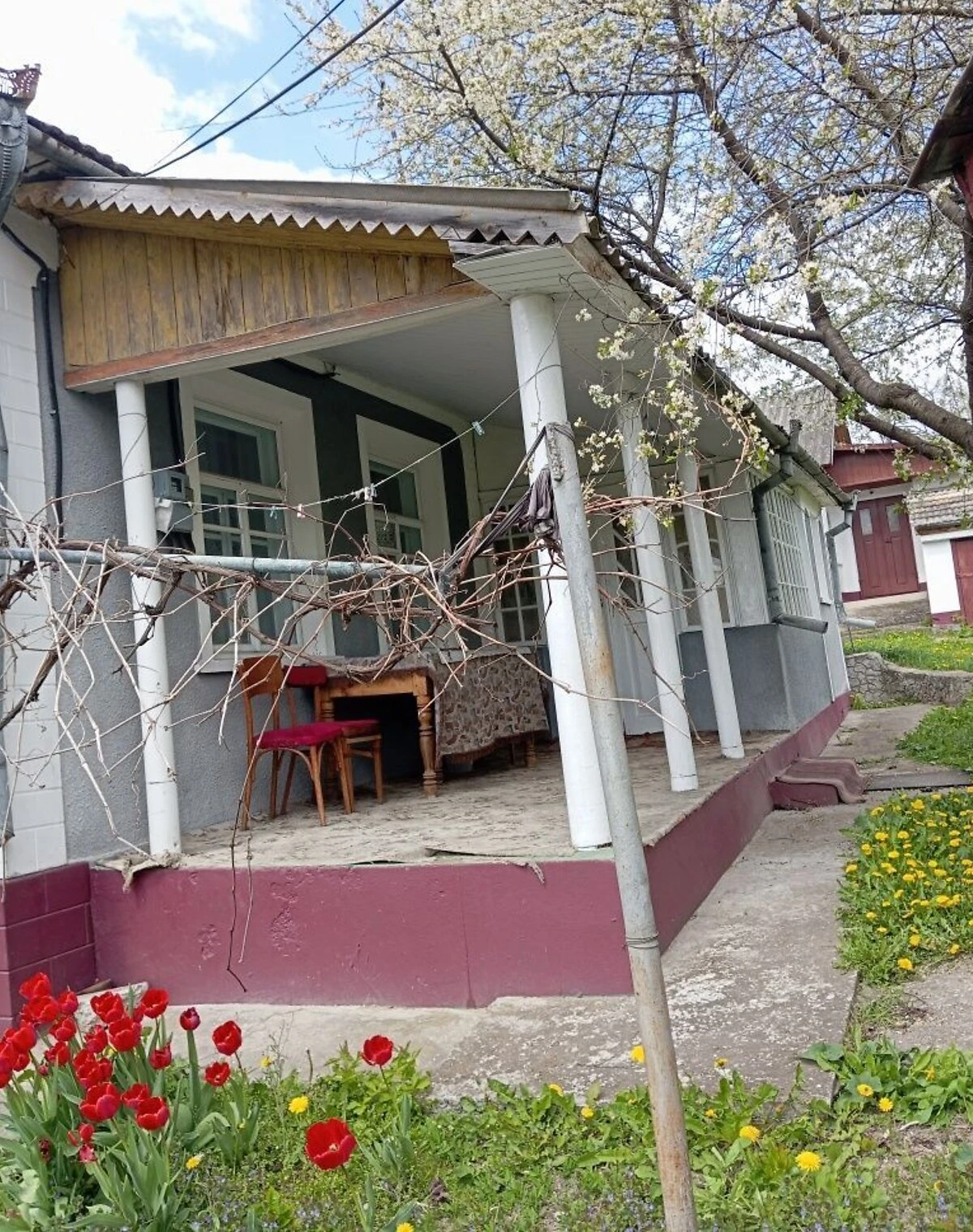 Дом, Смотрич (Дунаевцы): веранда, летняя кухня, сад, фото 2