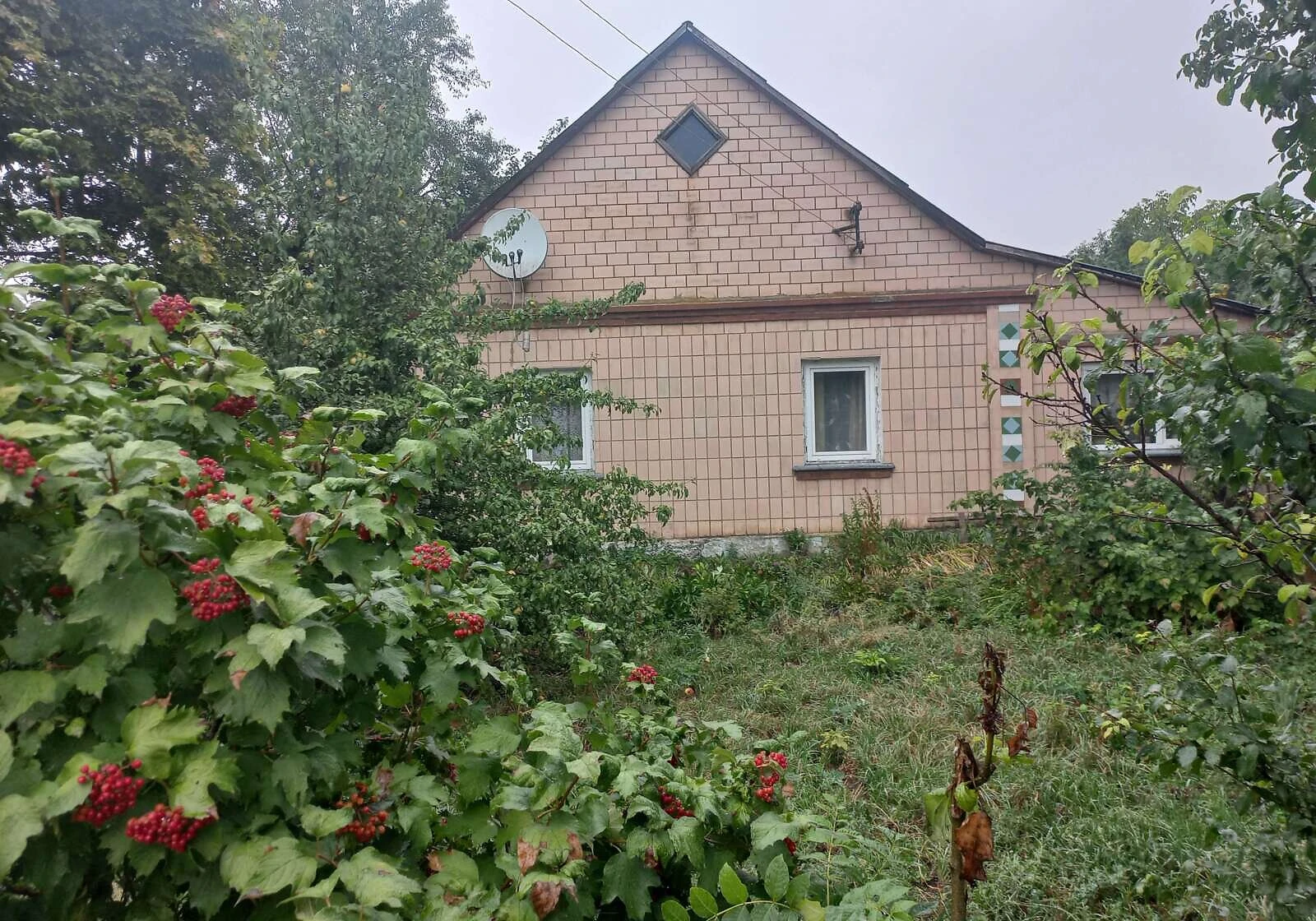 Будинок, Велика Омеляна: 25 соток, веранда, криниця - фото 1