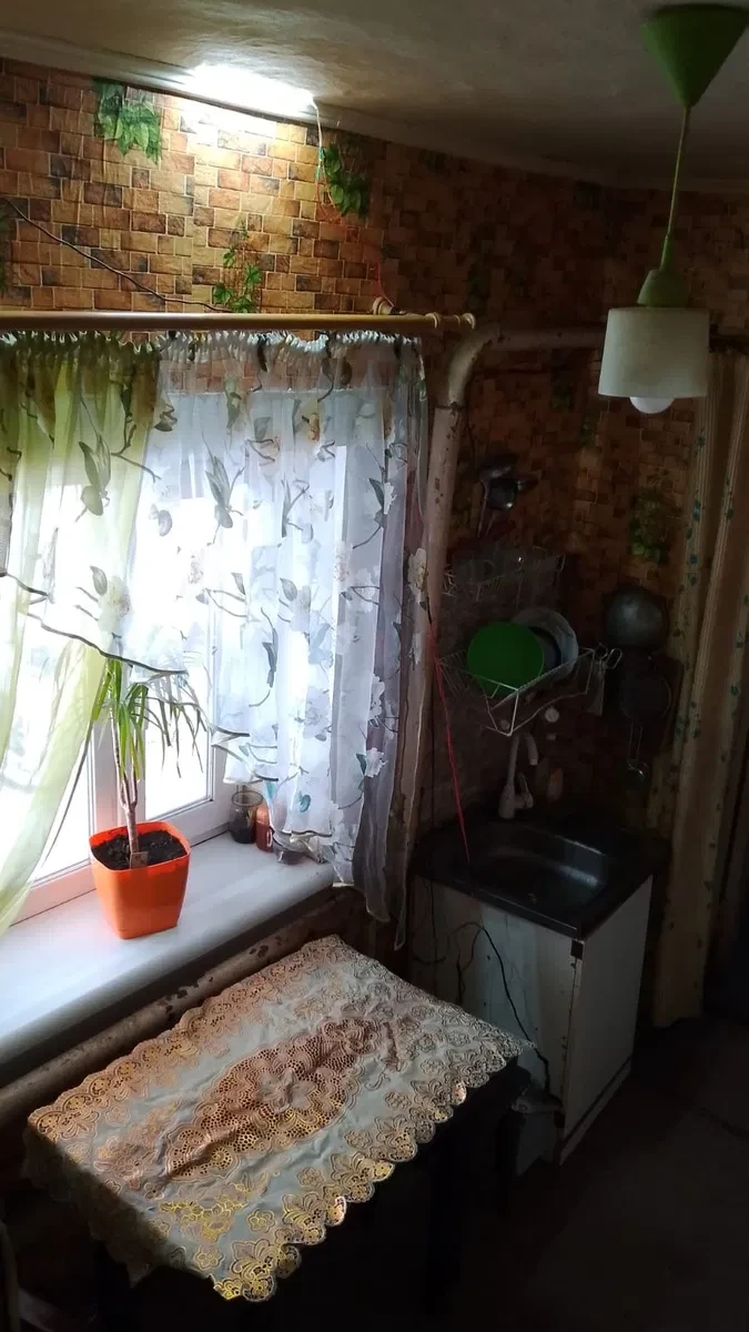 Будинок, Довгинцівський: 10 соток, сад і зона барбекю, фото 3