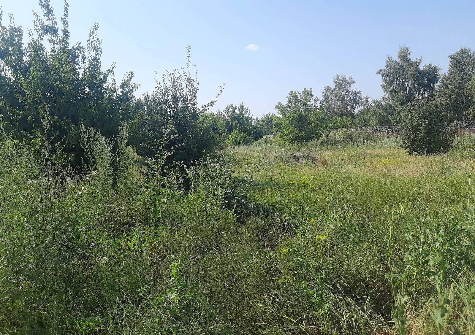 Ділянка 9.5 соток, Косівщина: під житлову забудову, 40×40 м - фото 2